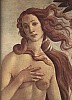 Botticelli, Sandro (1445-1510) - la naissance de Venus (detail).JPG